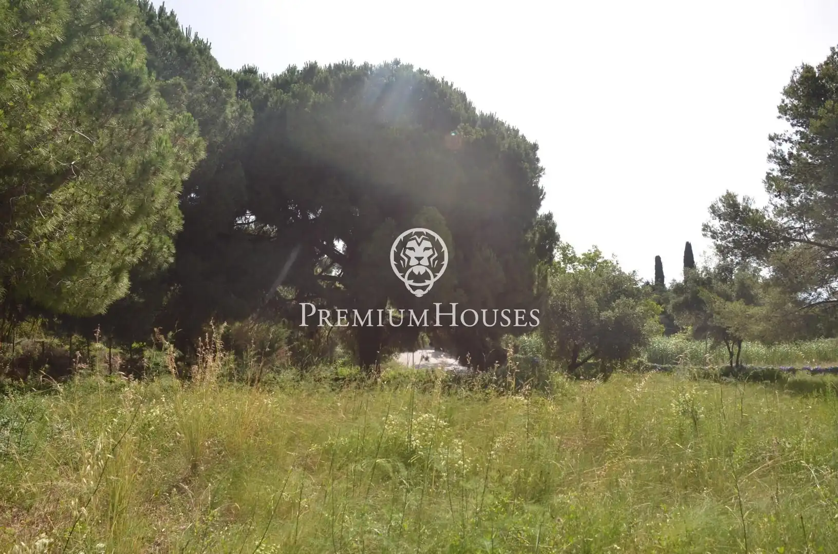 Residential land for sale in Cabrera de Mar, imagen 8
