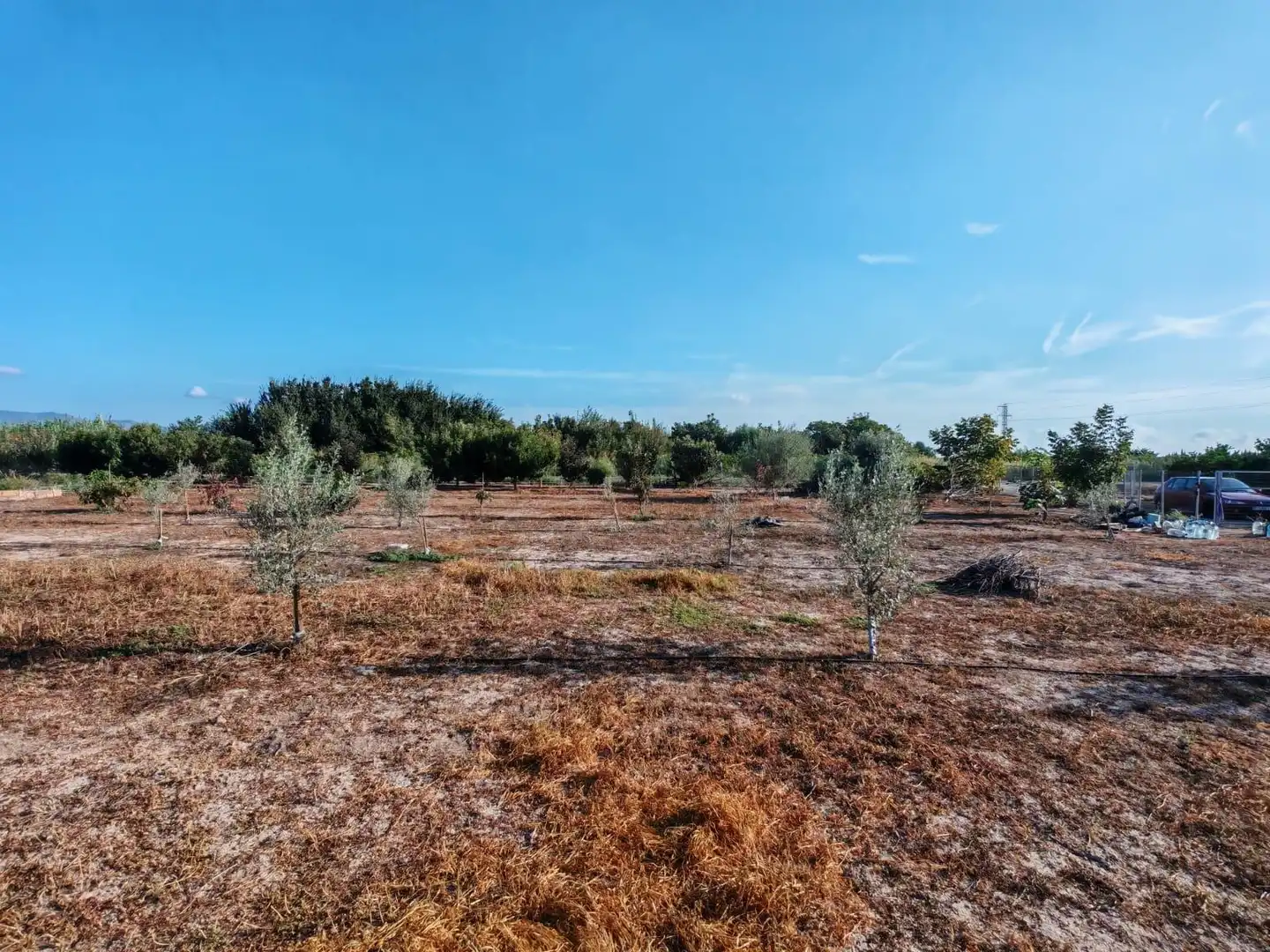 Rural land for sale in Benavites, imagen 5