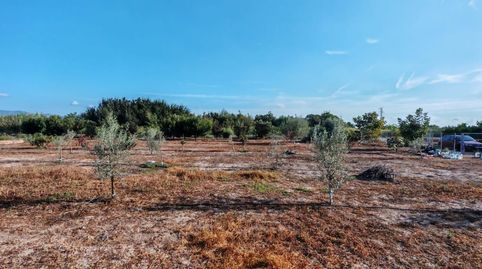 Foto 5 de Terreno en venta en Benavites, Valencia