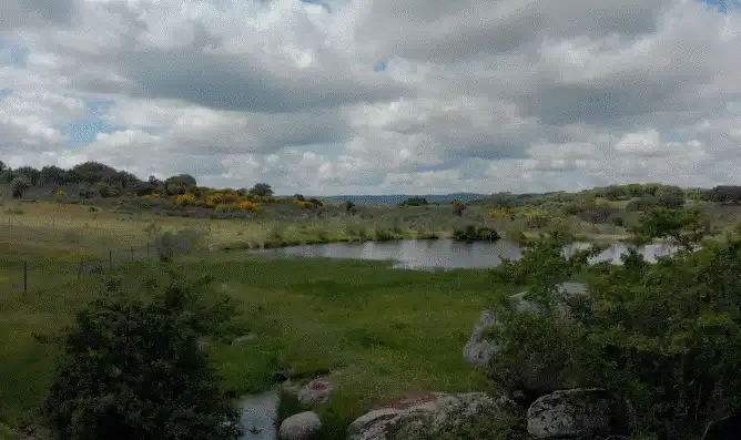 Terreni e lotti in vendita a San Roque - Ronda Norte, imagen 11