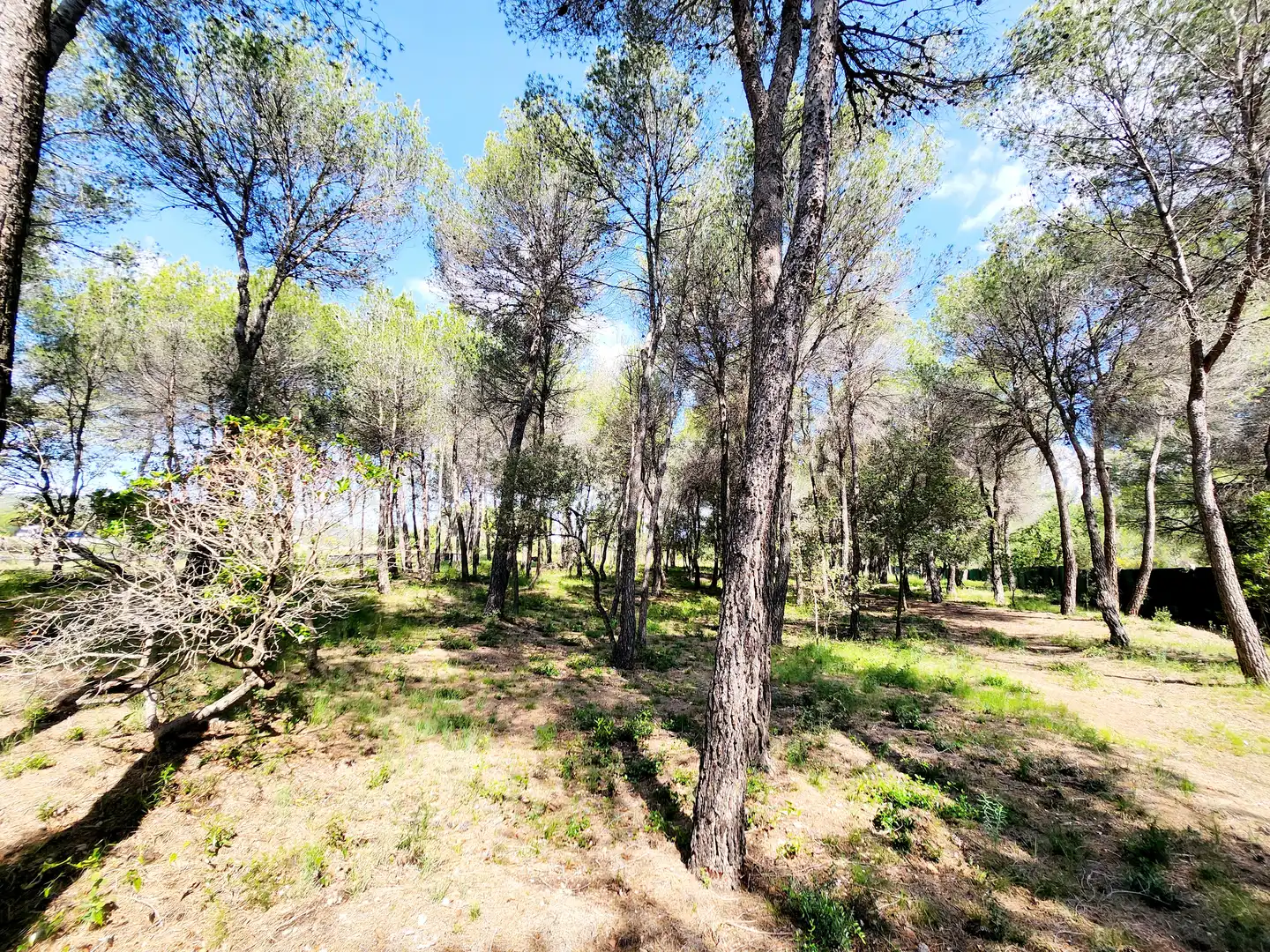 Finca rústica de alquiler con opción a compra en Esparreguera con Calefacción, Jardín privado y Terraza