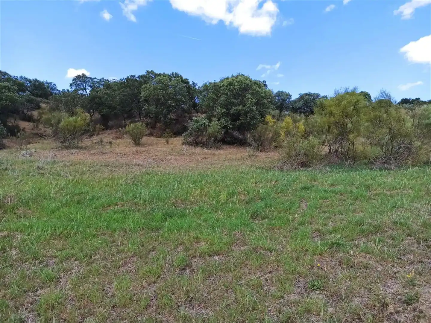 Land for sale in Jaraicejo, Cáceres