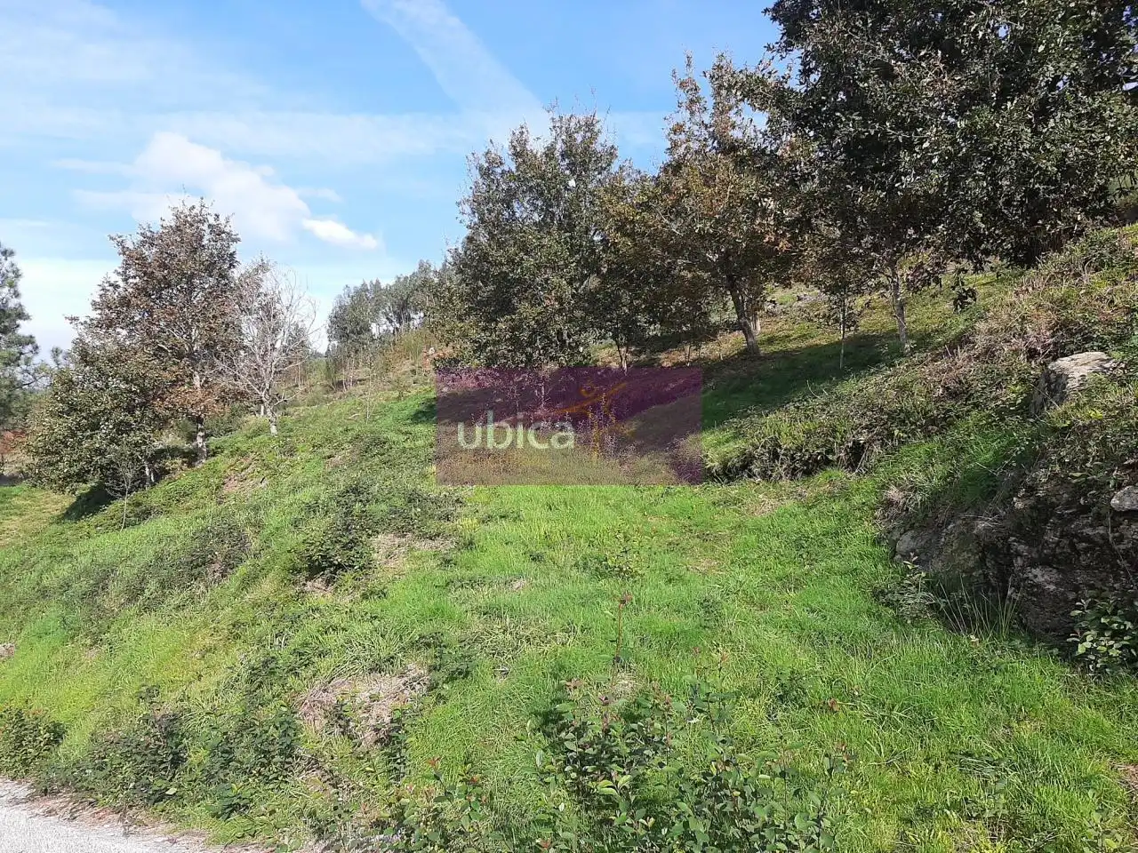 Terreno residencial en venta en Pazos de Borbén, imagen 5
