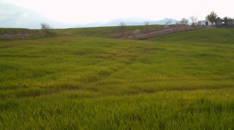 Foto 4 de Terreno en venta en Partidas Norte, Ronda