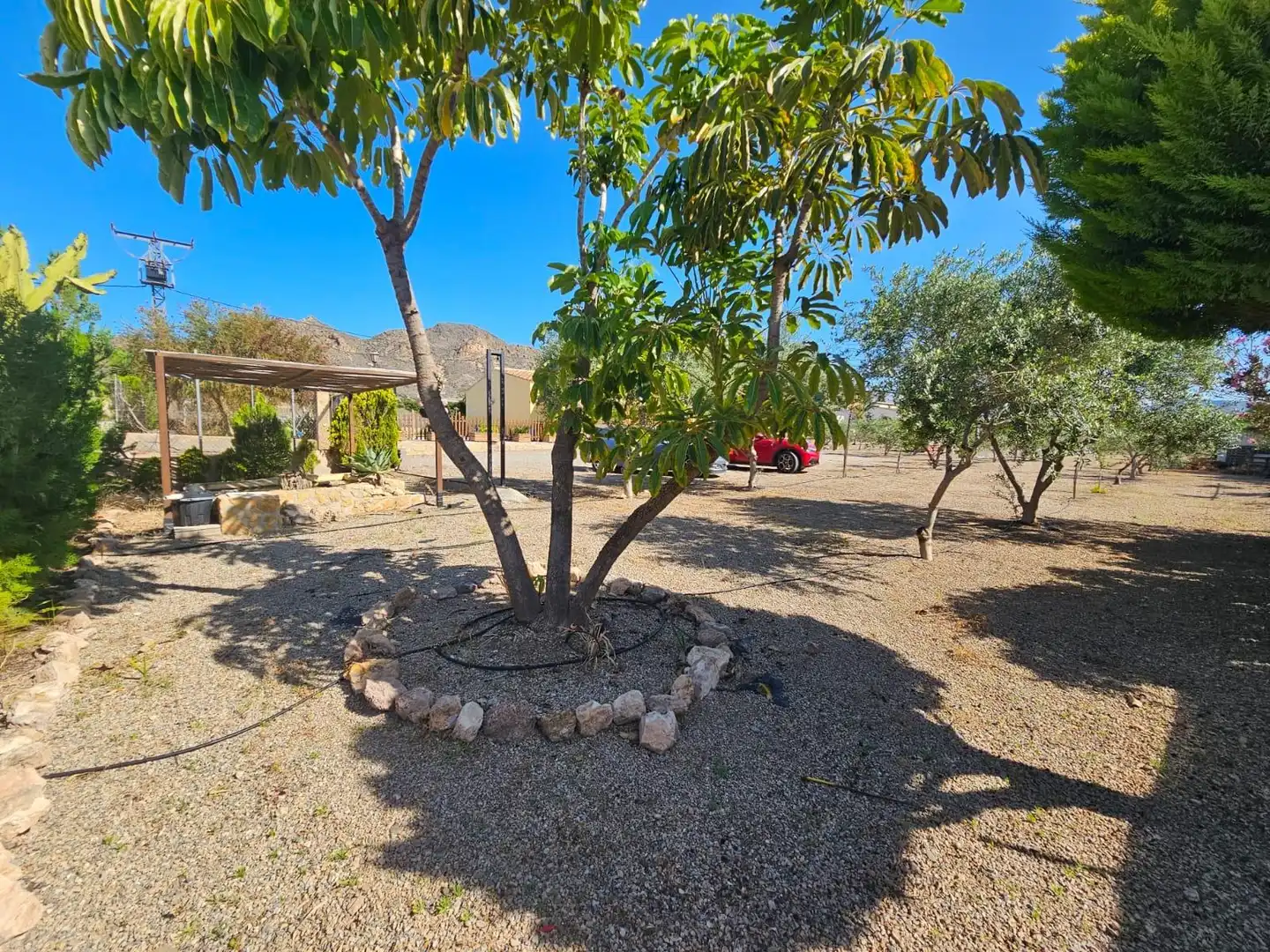 Jardí de Casa o xalet en venda en Águilas amb Jardí privat, Terrassa i Traster