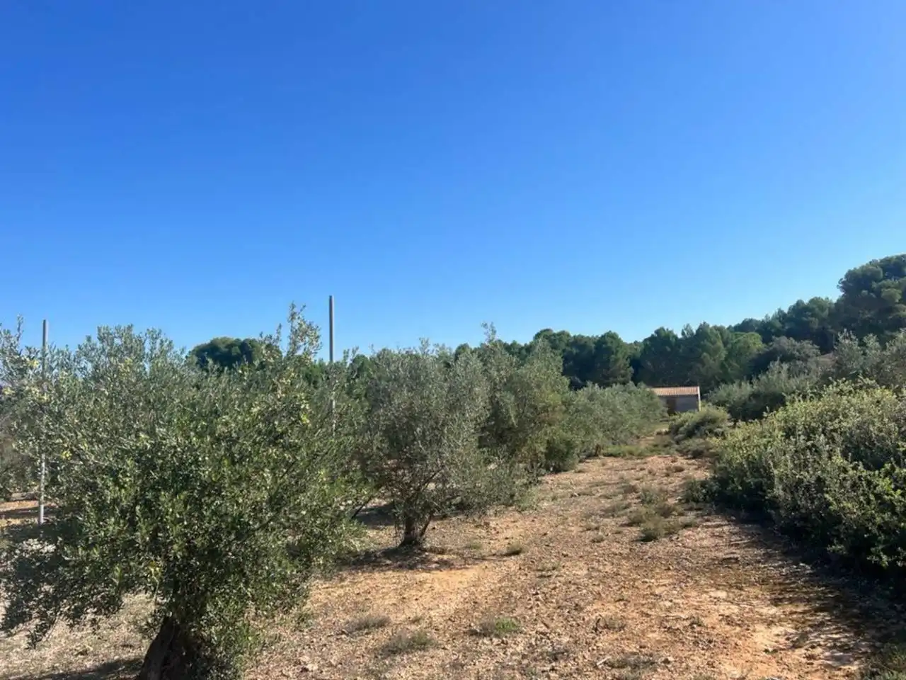 Chalet en venta en Banyeres de Mariola, imagen 4