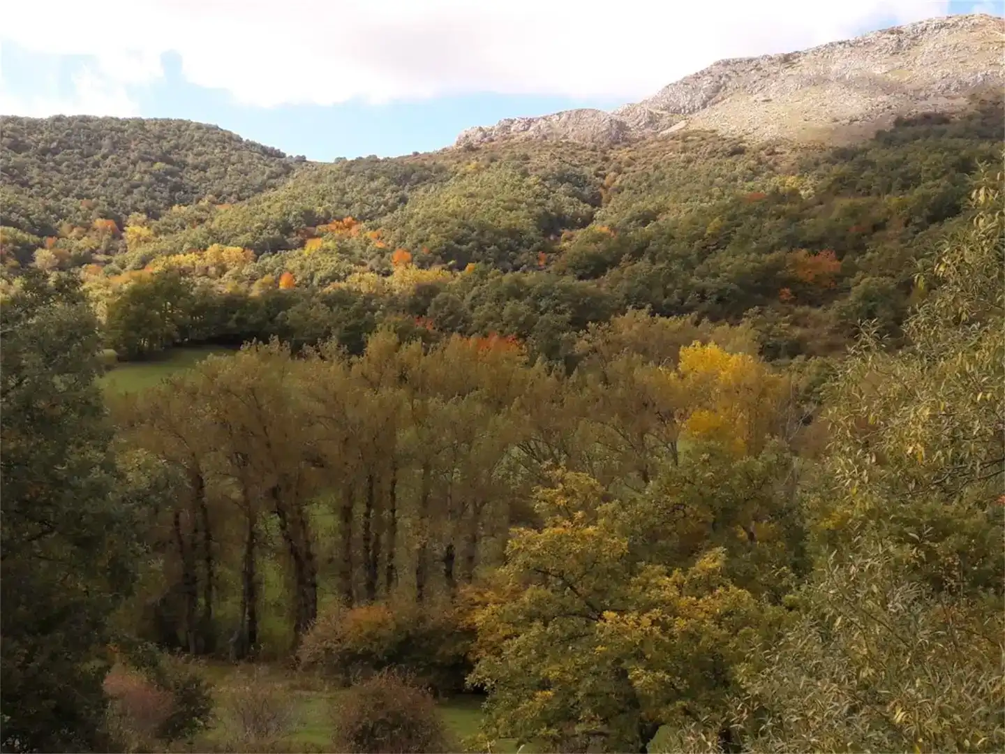 Vista exterior de Finca rústica en venta en Valderrueda