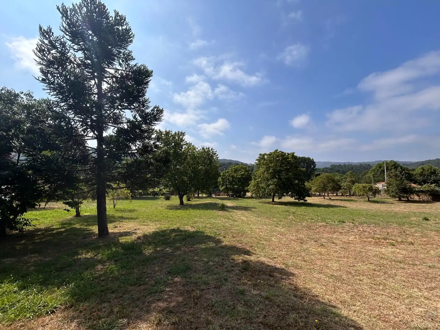 Country homes for sale in Vedra  with Heating, Terrace and Swimming Pool