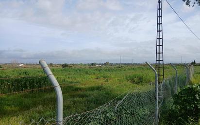 Land for sale in Trigueros