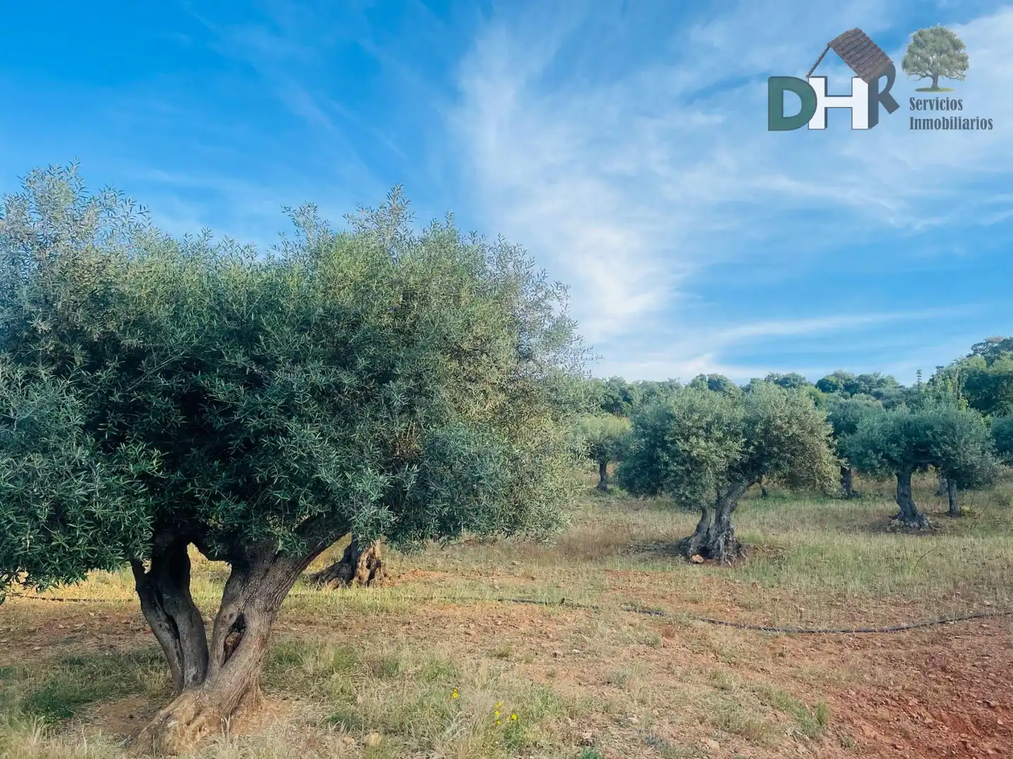 Finca rústica en venta en Estación Arroyo Malpartida