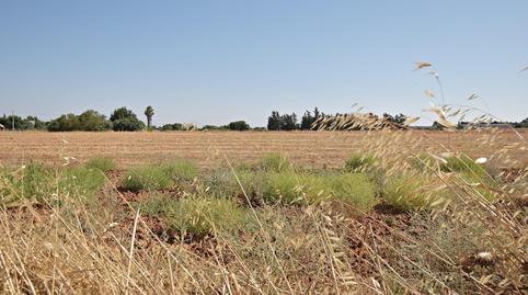 Photo 2 of Residential for sale in El Retiro - La Vid, Cádiz