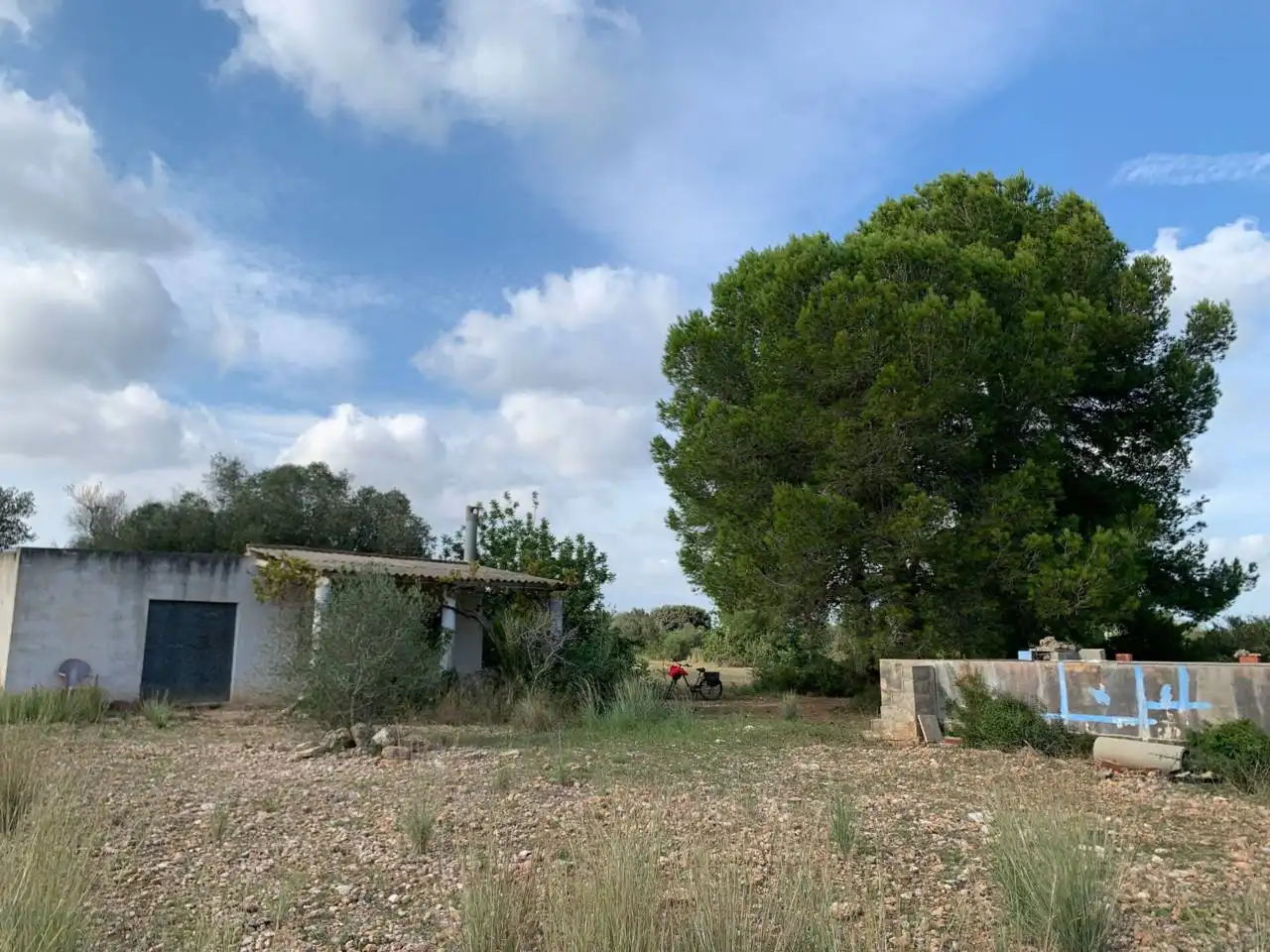 Rural land for sale in Calle POLIGONO 43, PARCELAS 350, 353,559, imagen 2
