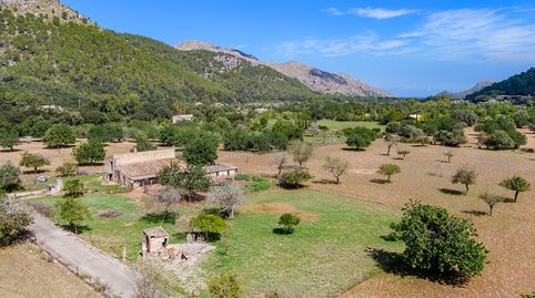 Foto 2 de Finca rústica en venta en Pollença Poble, Pollença