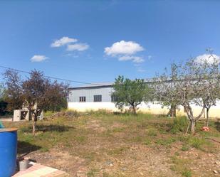 Vista exterior de Nau industrial en venda en Pozuelo de Calatrava