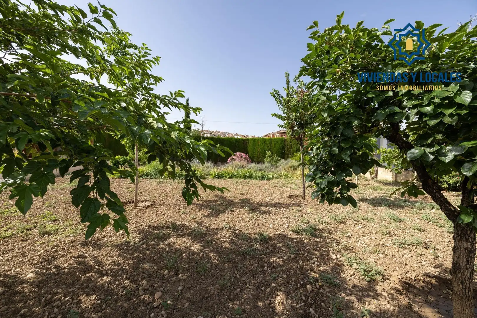 Lands and plots for sale in Barrio de la Vega, imagen 12