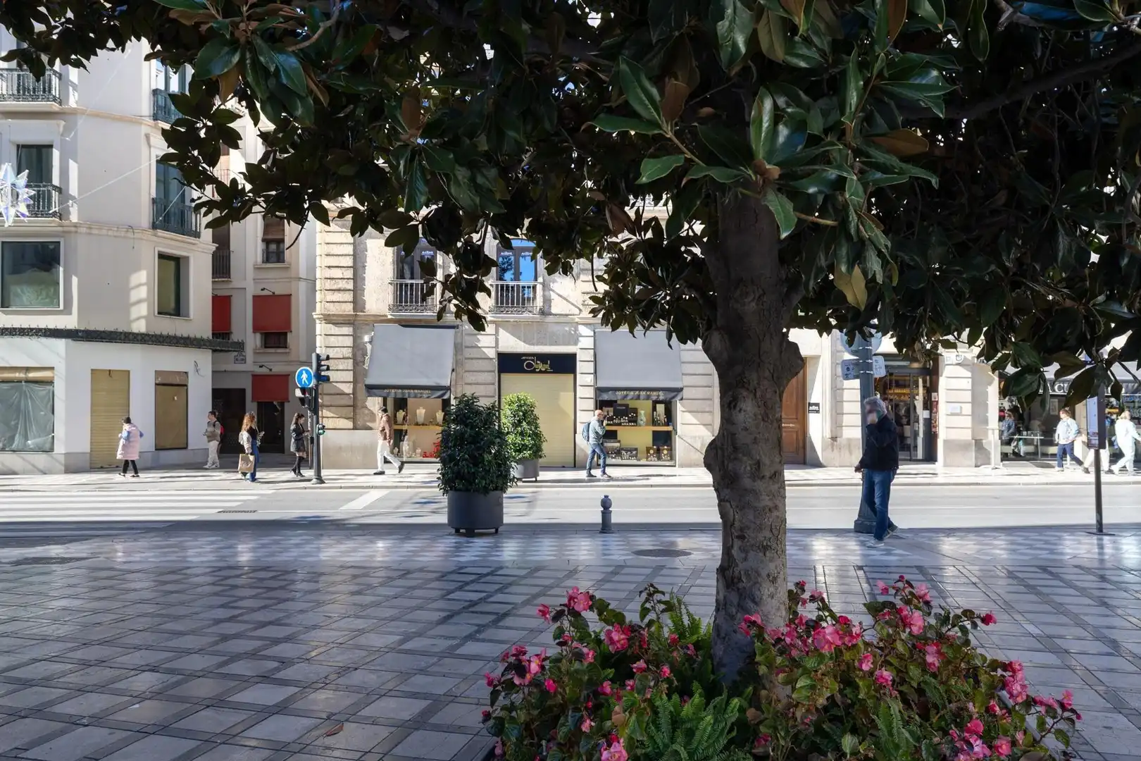 Business premises for sale in Reyes Católicos, imagen 54