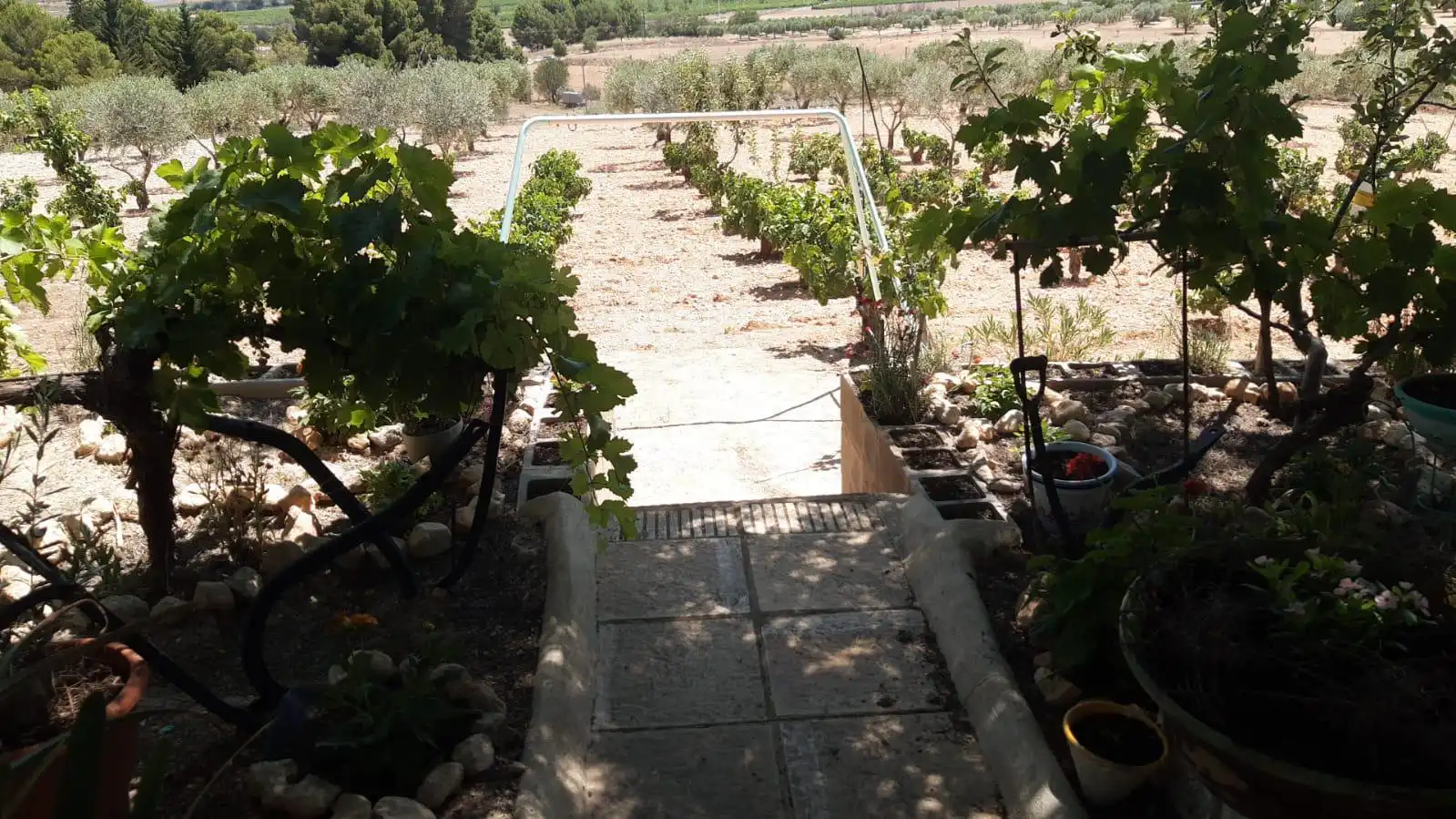 Casa o chalet en venta en Montealegre del Castillo