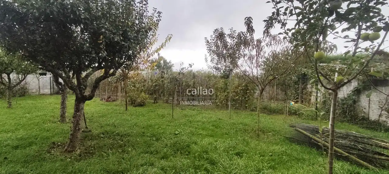 House with garden for sale in Mugardos, imagen 72