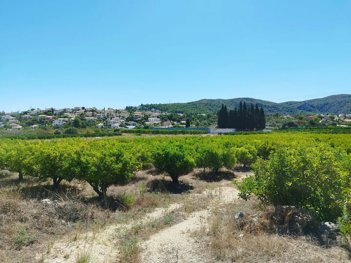 Residential land for sale in Orba, imagen 5