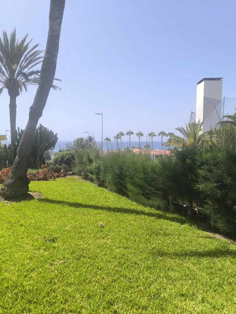 Jardí de Apartament en venda en San Bartolomé de Tirajana amb Aire condicionat, Terrassa i Piscina comunitària