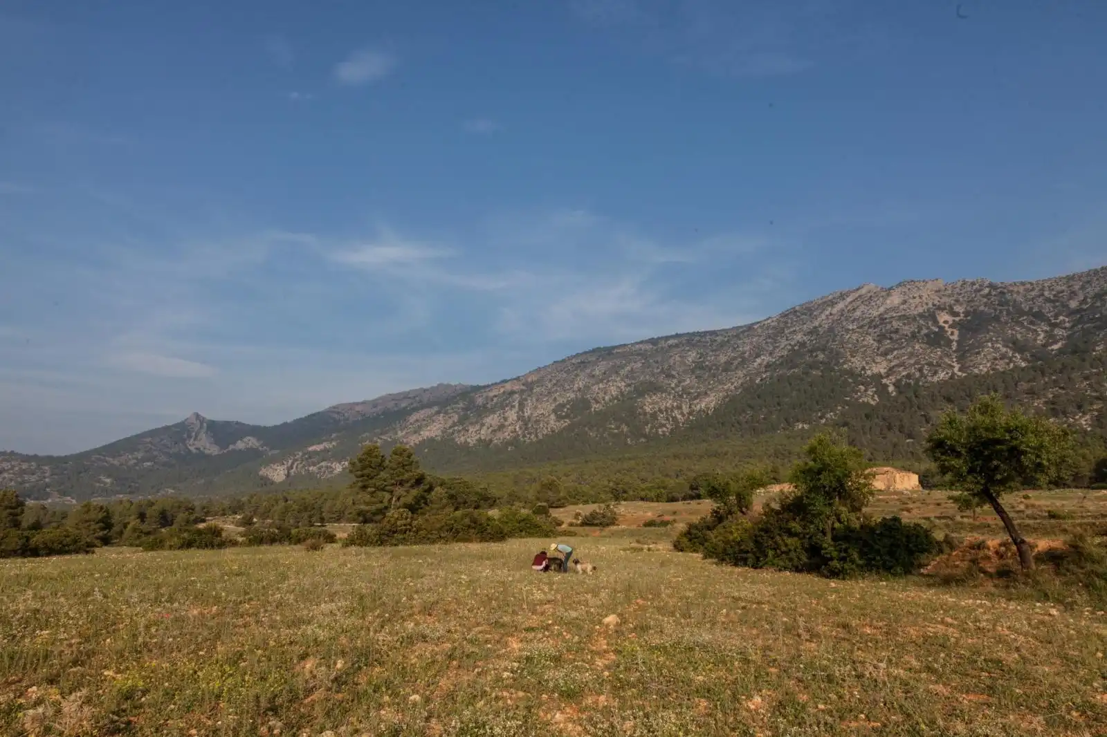 Lands and plots for sale in Mula, imagen 12