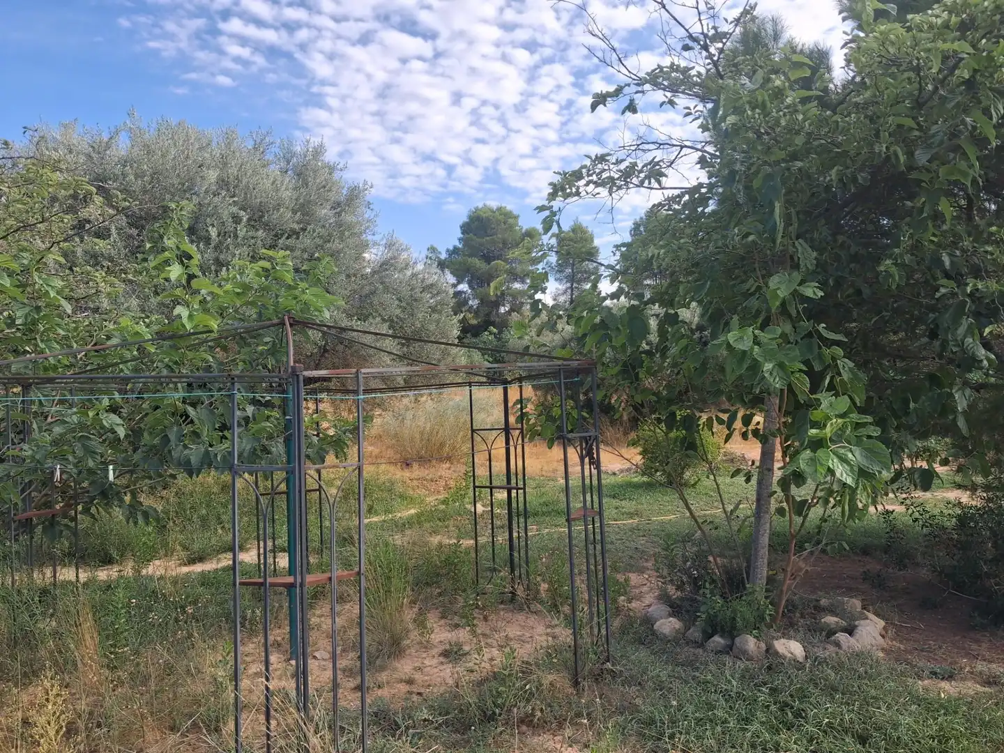 Chalet en venta en Polígono 5 Paraje 127 334, imagen 35