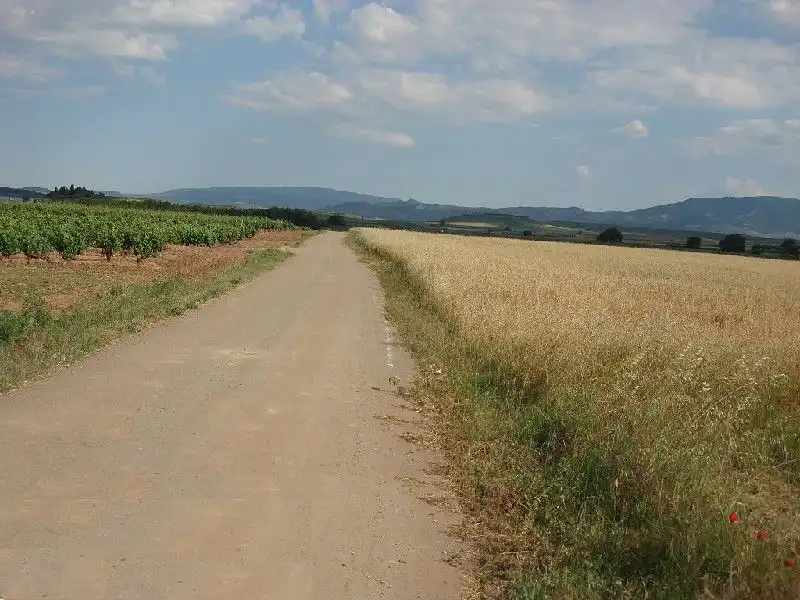 Terreny rústic en venda a Villamediana de Iregua, imagen 3