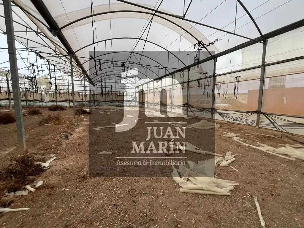 Garden of Land for sale in Ontur