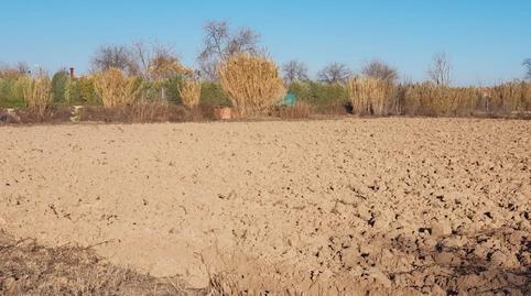 Photo 4 of Land for sale in N/a, -1, La Montaña - El Cortijo, Madrid