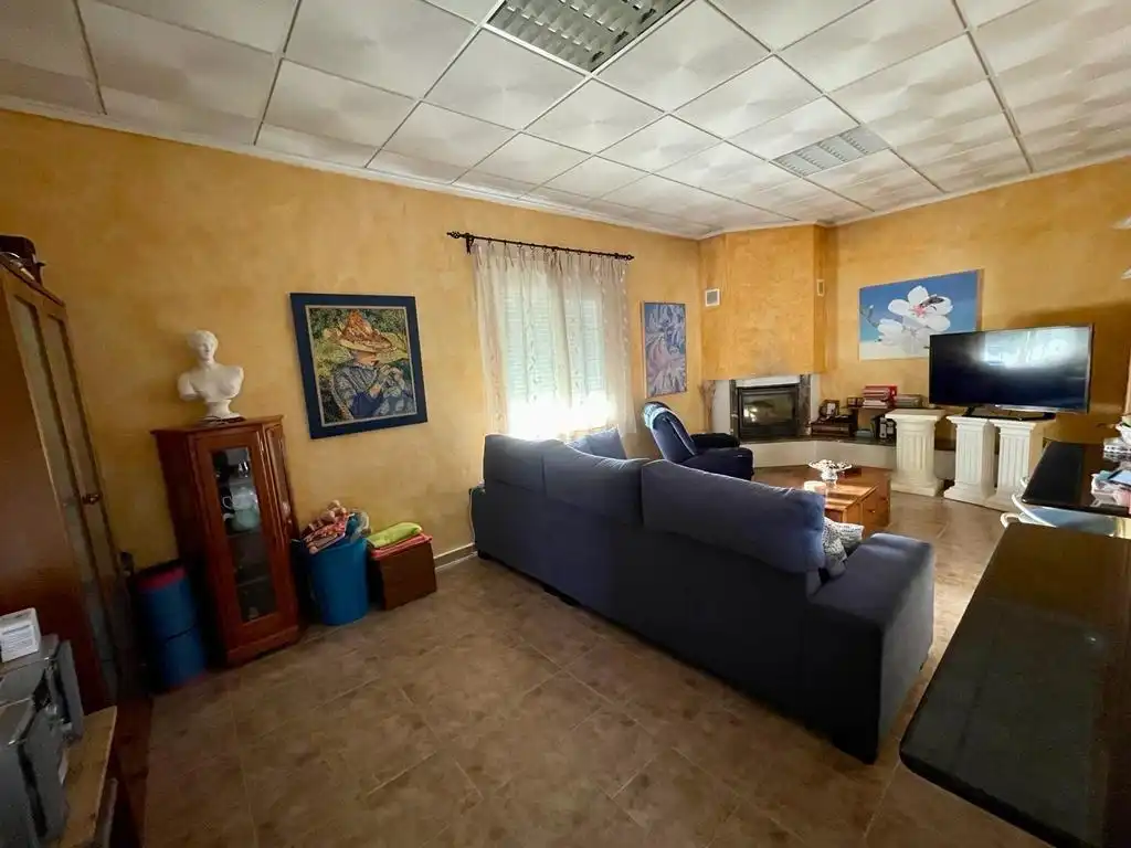 Sala d'estar de Casa o xalet en venda en Albatera amb Aire condicionat, Calefacció i Jardí privat