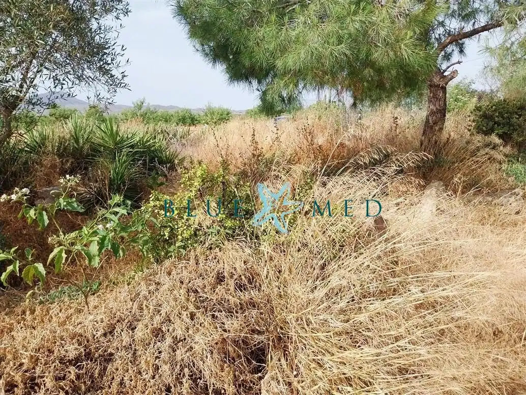 Casa o xalet en venda en Fuente Álamo de Murcia