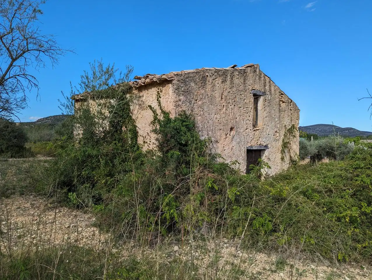 Vista exterior de Finca rústica en venda en Ulldecona
