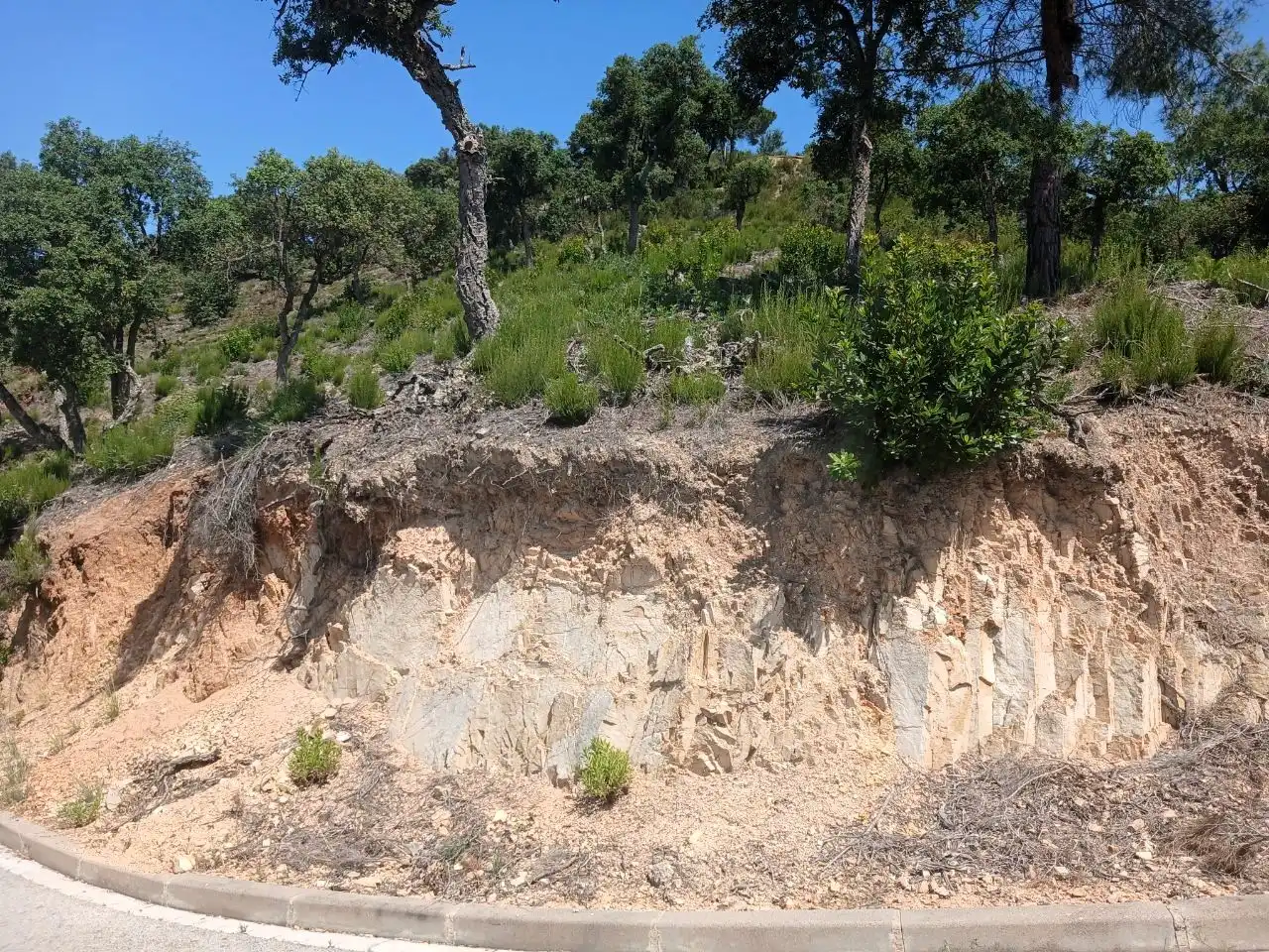Wohnbaugrundstück zum Verkauf in Lloret Verd - Els Pinars, imagen 9