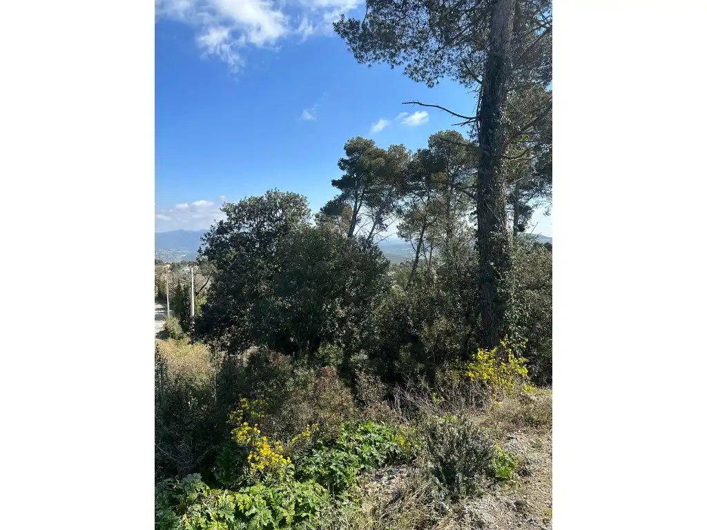 Residential land for sale in Calle Domingo Roura, imagen 6