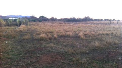 TERRENO RUSTICO EN VENTA CERCA DE VALL DALBA, immagine 3