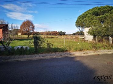 Terrain rustique à vendre à Alt Penedes 12