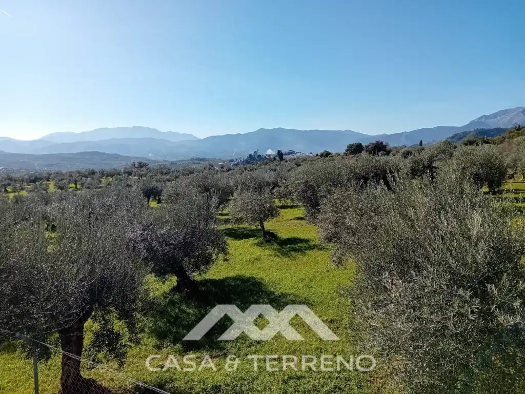 Casa o xalet en venda en Alozaina amb Piscina