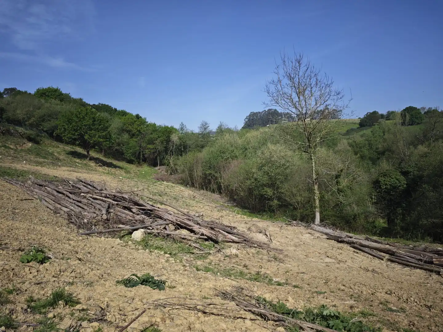 Terreni e lotti in vendita a Oruña, imagen 8