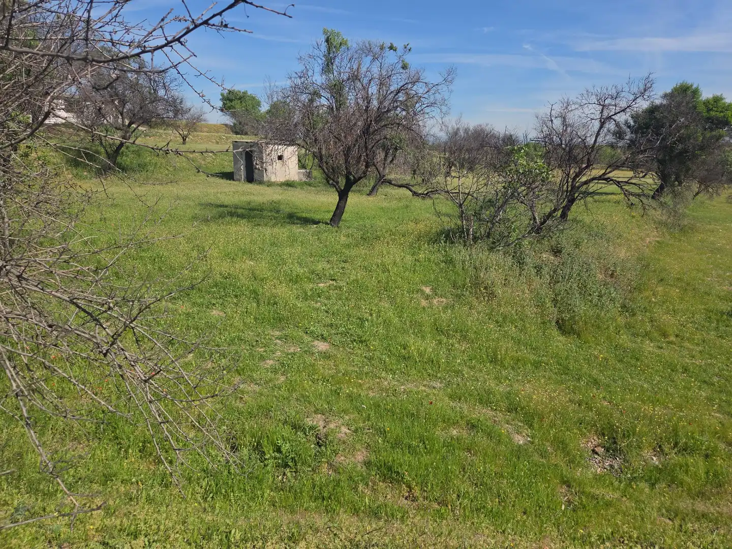 Finca rústica en venta en Navalcarnero