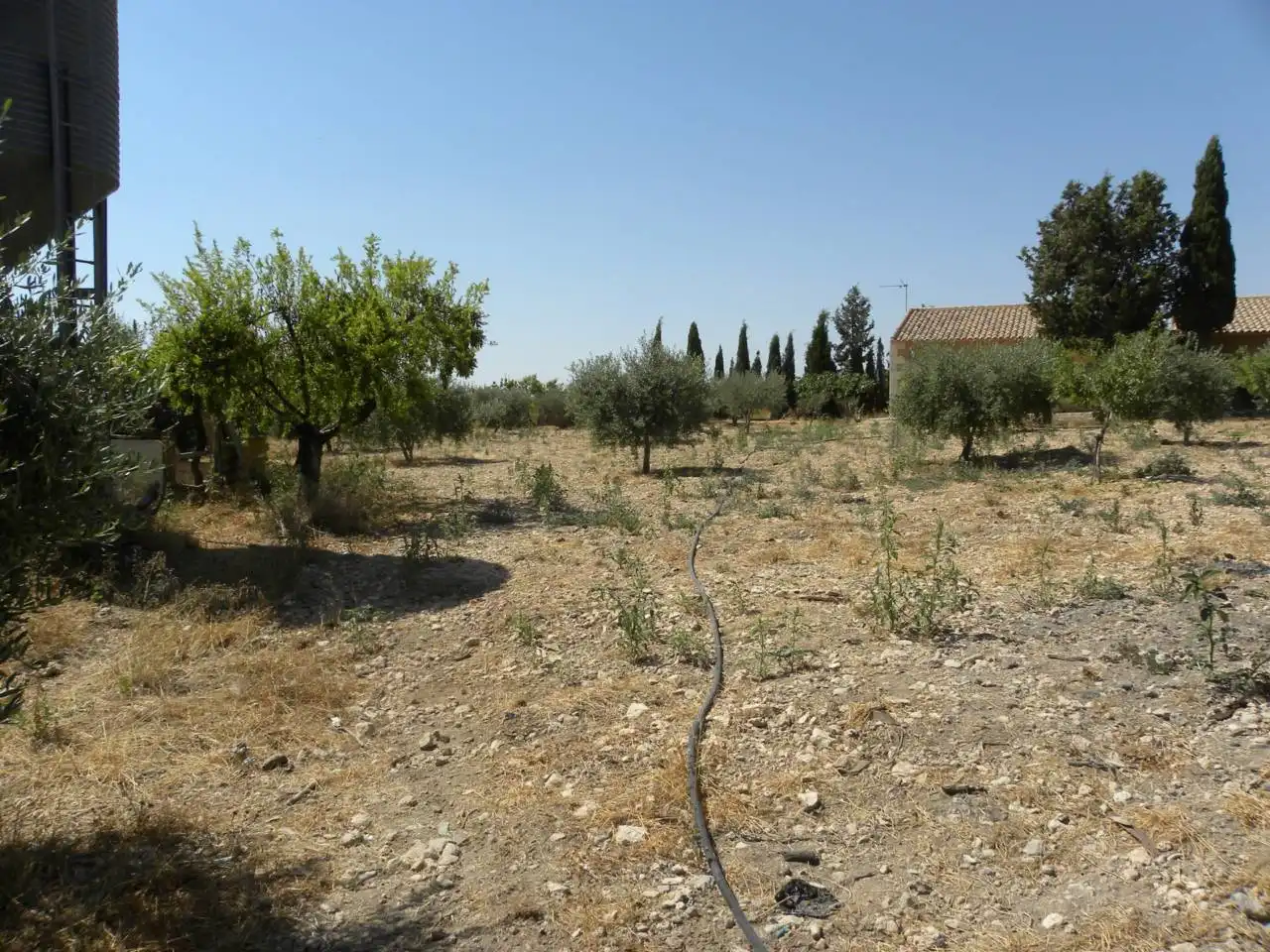 Terreno rustico in vendita a Caravaca de la Cruz, imagen 10