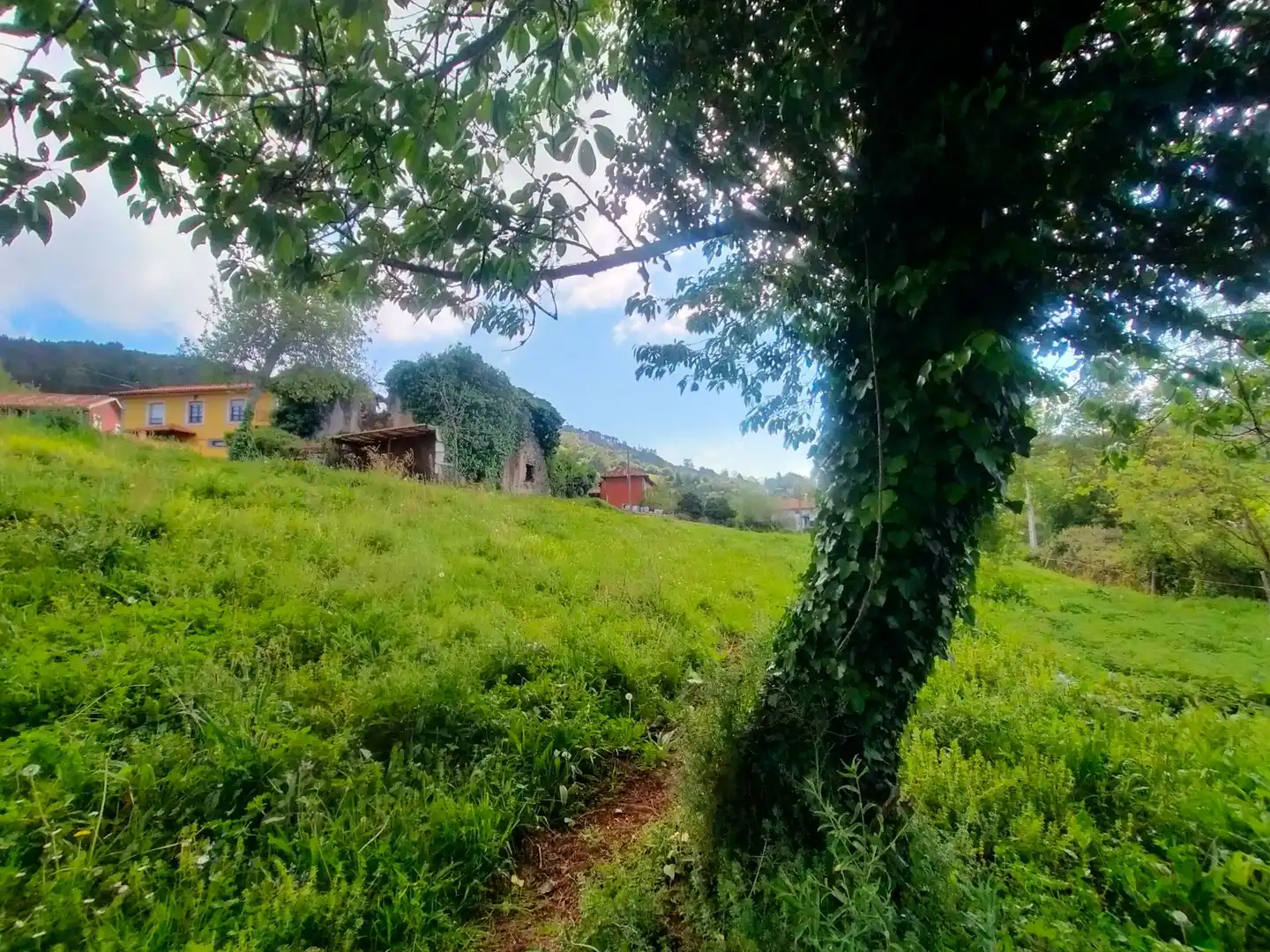 Terrenys i solars en venda a Candamo, imagen 23