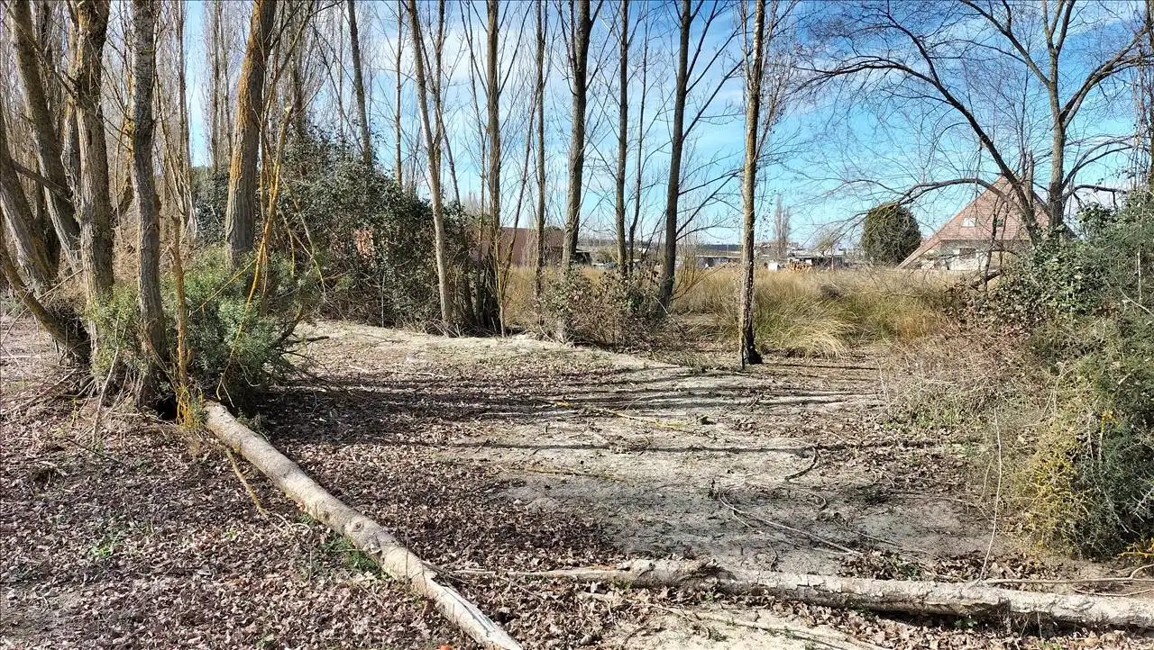 Residential land for sale in PALOMA, imagen 12