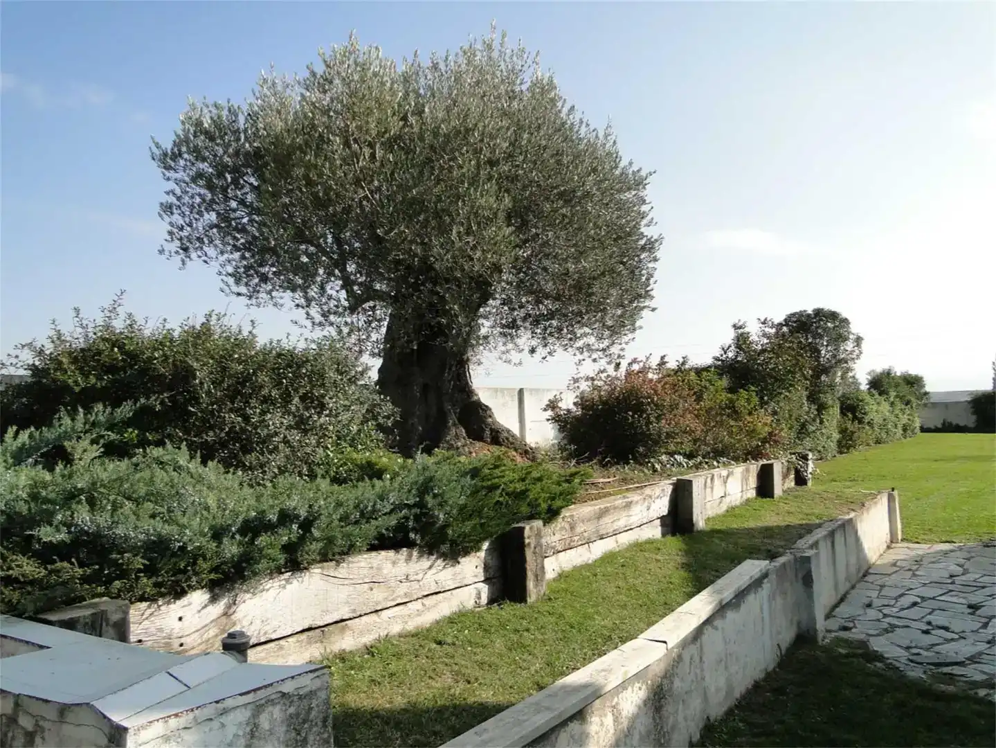 Jardí de Casa o xalet en venda en Haro amb Jardí privat, Piscina i Balcó