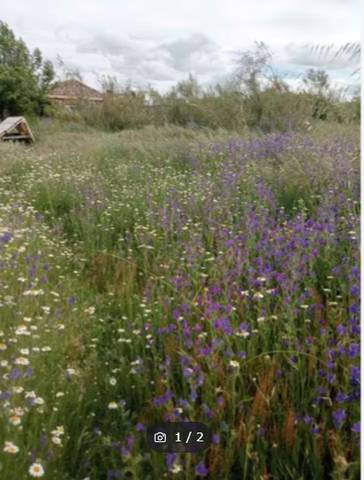 Terreno en Alquiler en A-407, 27 en La Lantejuela