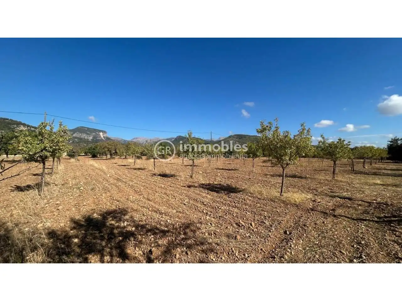 Terreno rustico in vendita a Poligono 14
