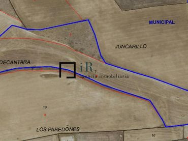 Terreny rústic en venda a Argés