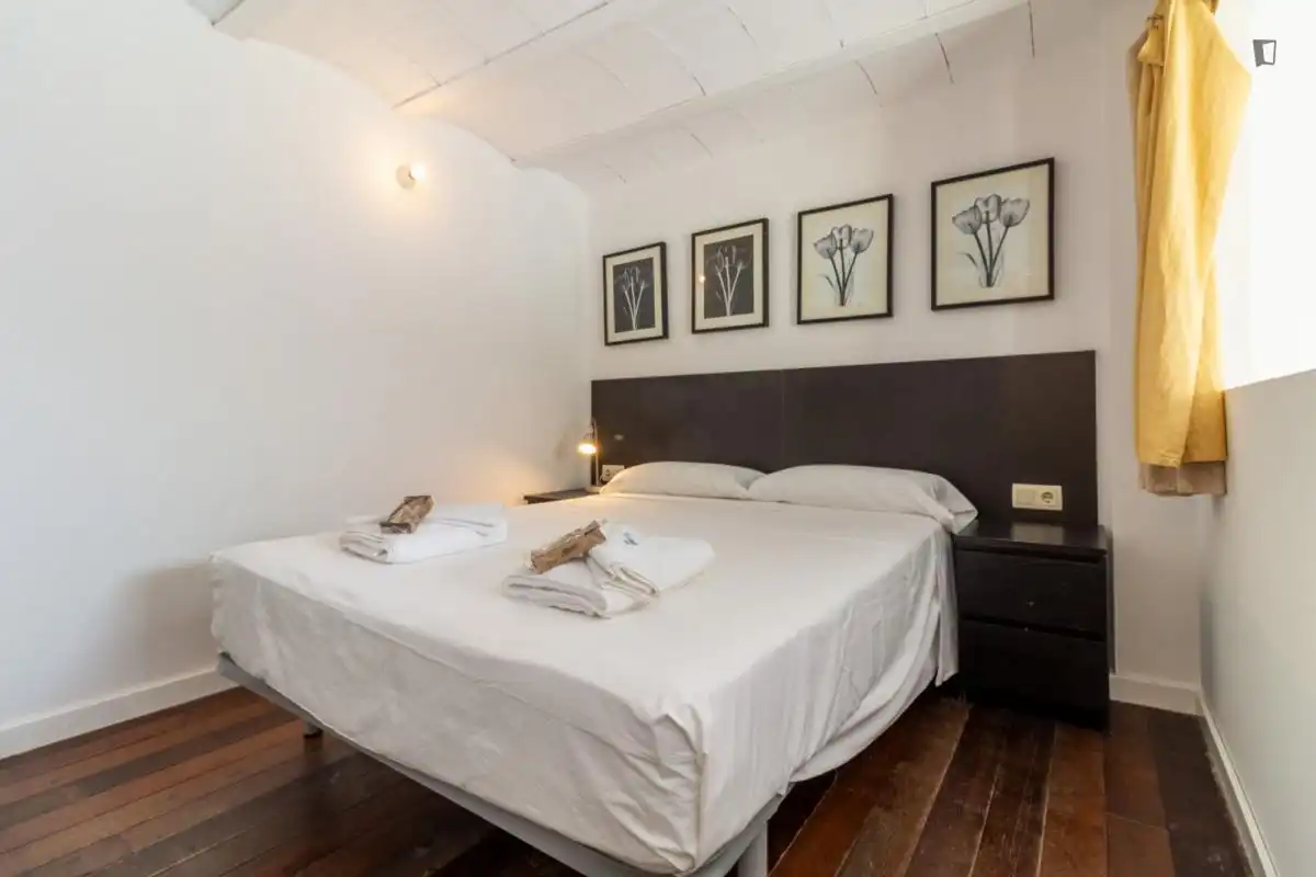 Apartamento de alquiler en El Raval