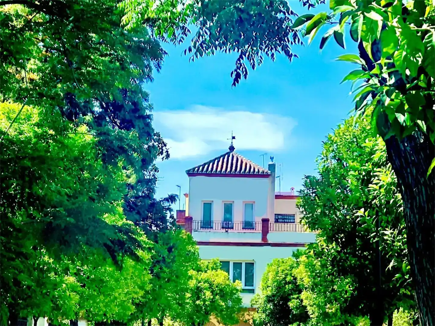 Vista exterior de Casa o xalet en venda en  Sevilla Capital