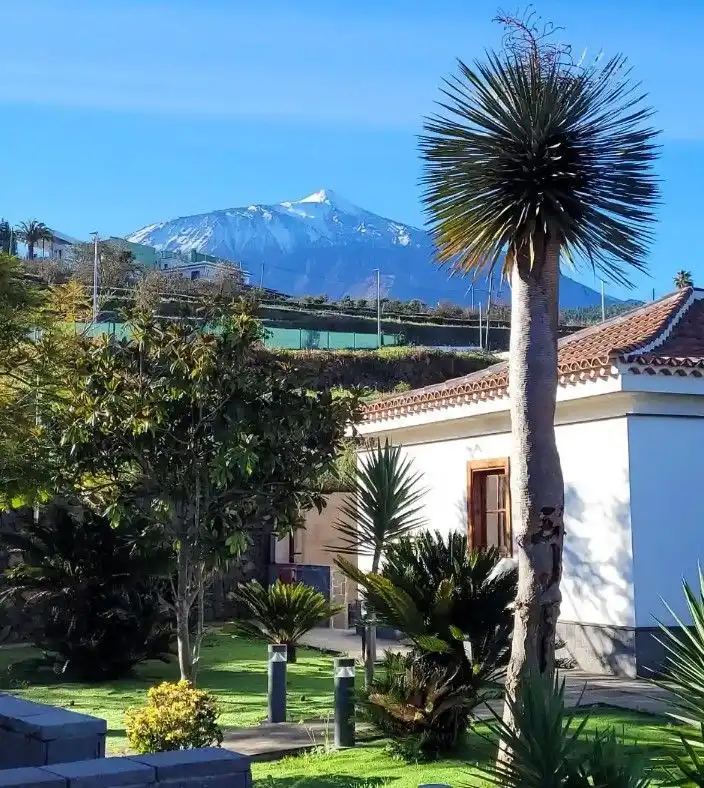 Vista exterior de Edificio en venta en Los Realejos