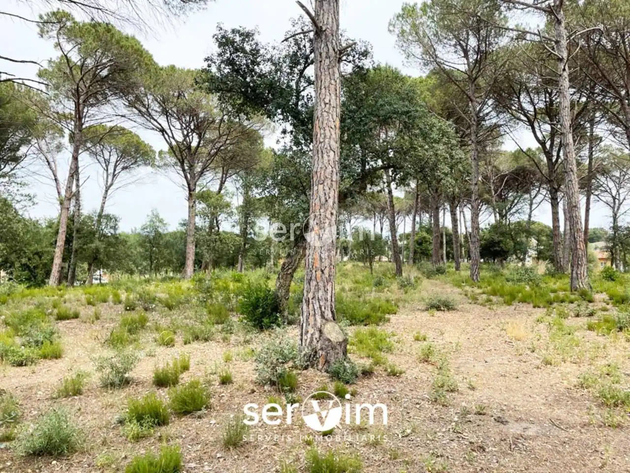 Terrain résidentiel à vendre à Avenida Malavella 206, imagen 11